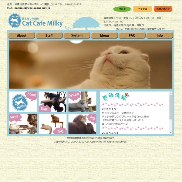 Cat Cafe Milky